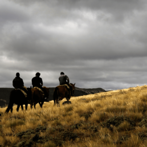 Horseback riding in Calafate