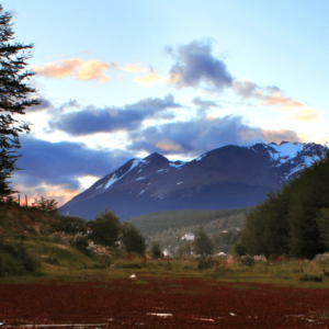 Tierra del Fuego National Park