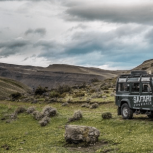 Safari Experience With Lunch