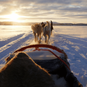 White Adventure