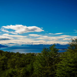 Airport In/Out + National Park + Beagle Channel Lobos + Fueguino's Lakes