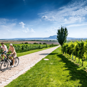 Bike & Tasting at the Familia Zuccardi winery